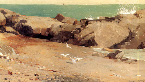 (image for) Handmade Oil painting for home canvas, oil painting framed canvas for living room Winslow Homers Paintings Rocky Coast and Gulls - Click Image to Close